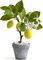 Artificial Lemon Tree Topiary, Mini Potted Lemon Tree with White Pebbles, Potted Fake Plants for Flower Home Party Garden Office Table Decoration